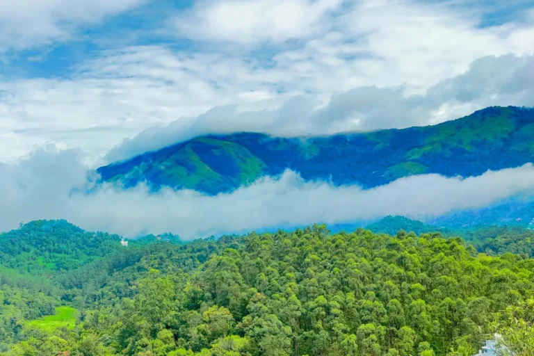 one-day-munnar-local-sightseeing-tour-package-with-top-station-private-cab-header